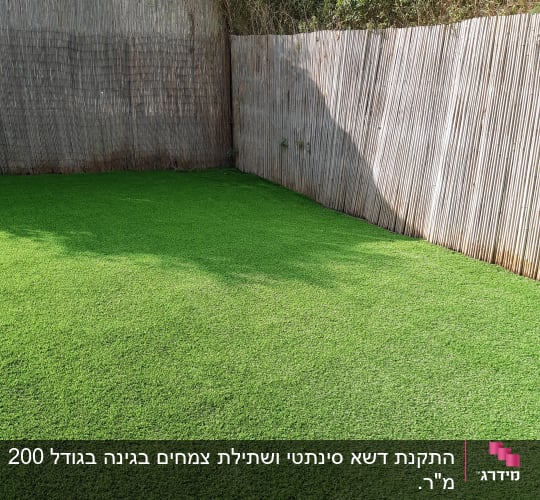 דשא ירוק וגדר במבוק בגינה